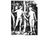Adam and Eve (Engraving by Durer, 1504)